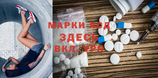 гашик Осинники