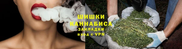 гашик Осинники