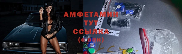 гашик Осинники