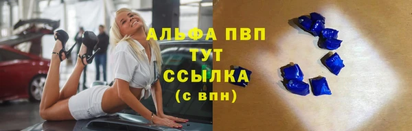 гашик Осинники