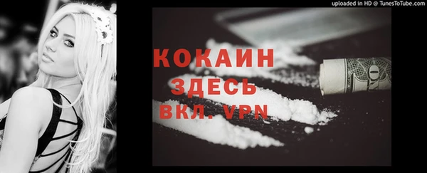 гашик Осинники