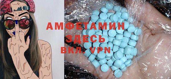 гашик Осинники