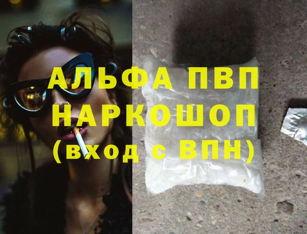 гашик Осинники