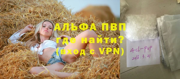 гашик Осинники